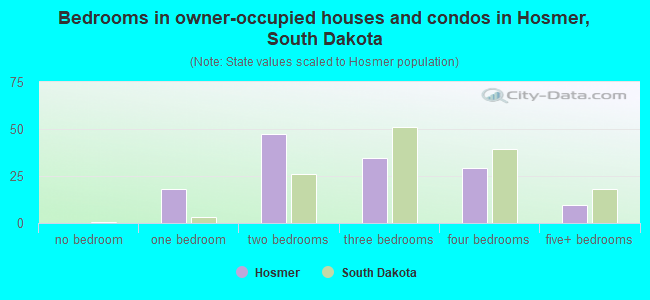 Bedrooms in owner-occupied houses and condos in Hosmer, South Dakota