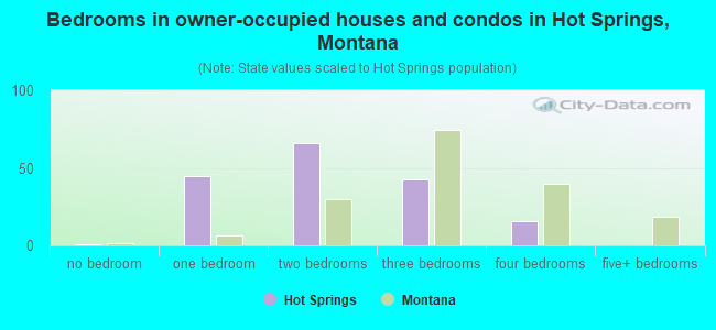 Bedrooms in owner-occupied houses and condos in Hot Springs, Montana