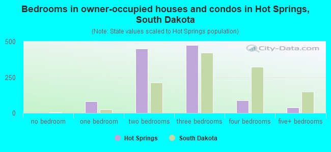 Bedrooms in owner-occupied houses and condos in Hot Springs, South Dakota