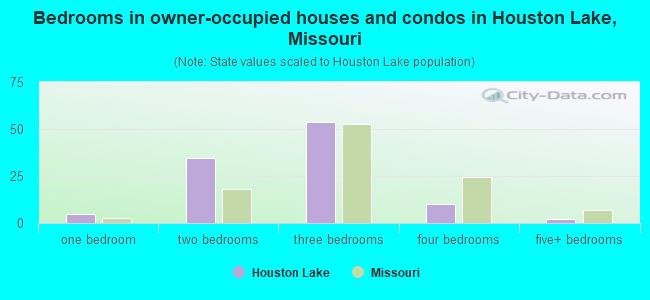 Bedrooms in owner-occupied houses and condos in Houston Lake, Missouri