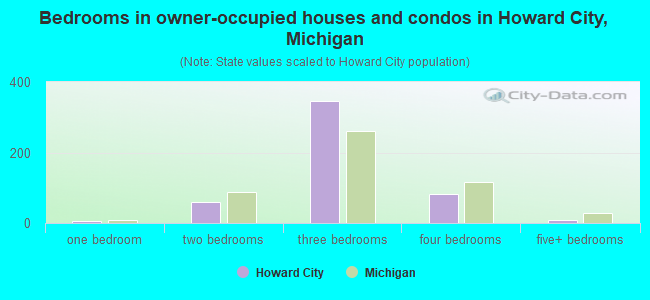 Bedrooms in owner-occupied houses and condos in Howard City, Michigan