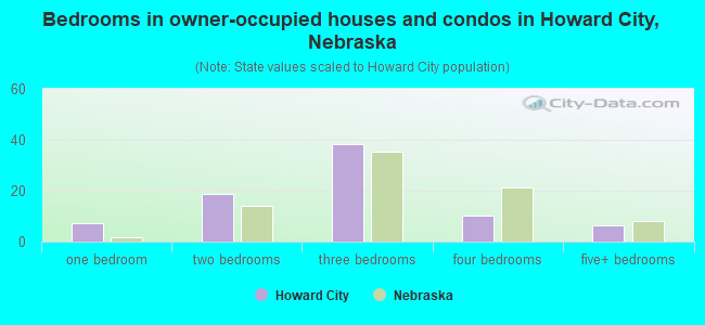 Bedrooms in owner-occupied houses and condos in Howard City, Nebraska