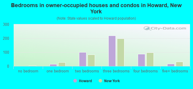 Bedrooms in owner-occupied houses and condos in Howard, New York