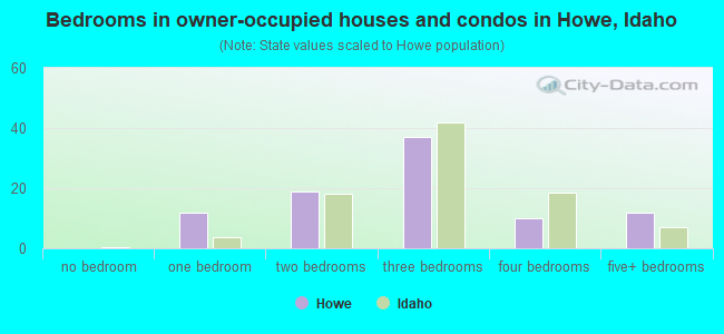 Bedrooms in owner-occupied houses and condos in Howe, Idaho