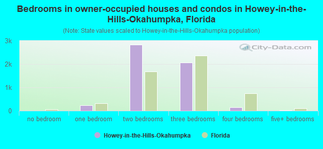 Bedrooms in owner-occupied houses and condos in Howey-in-the-Hills-Okahumpka, Florida