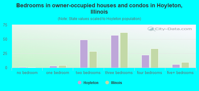 Bedrooms in owner-occupied houses and condos in Hoyleton, Illinois