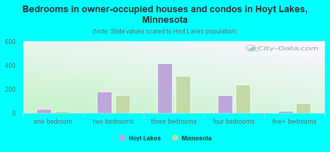 Bedrooms in owner-occupied houses and condos in Hoyt Lakes, Minnesota