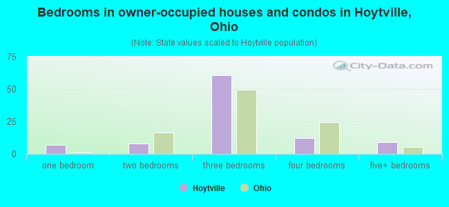 Bedrooms in owner-occupied houses and condos in Hoytville, Ohio