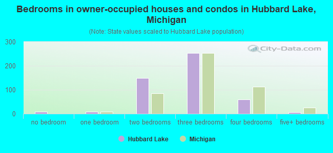 Bedrooms in owner-occupied houses and condos in Hubbard Lake, Michigan