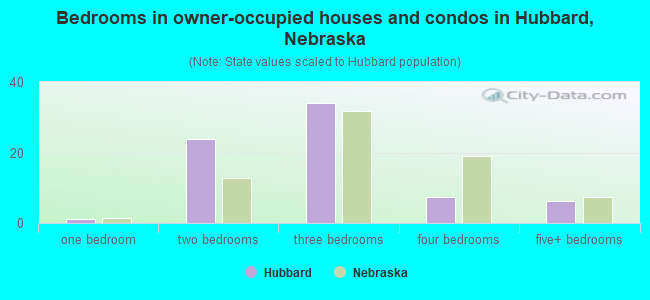 Bedrooms in owner-occupied houses and condos in Hubbard, Nebraska