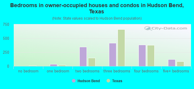 Bedrooms in owner-occupied houses and condos in Hudson Bend, Texas