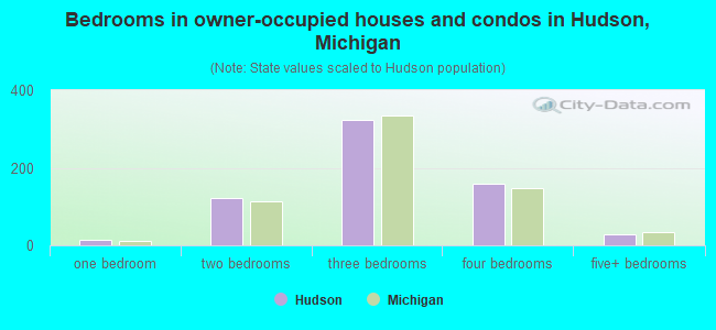 Bedrooms in owner-occupied houses and condos in Hudson, Michigan