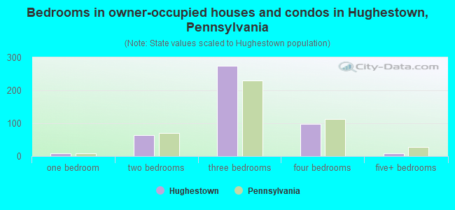 Bedrooms in owner-occupied houses and condos in Hughestown, Pennsylvania