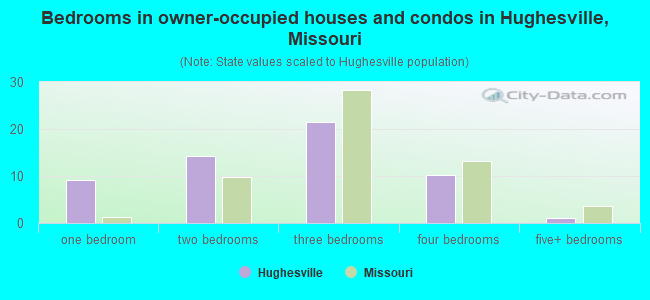 Bedrooms in owner-occupied houses and condos in Hughesville, Missouri