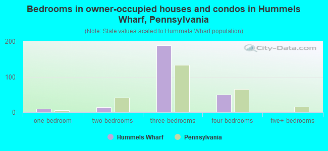 Bedrooms in owner-occupied houses and condos in Hummels Wharf, Pennsylvania