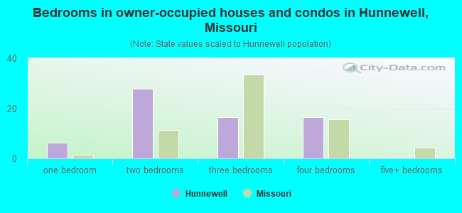 Bedrooms in owner-occupied houses and condos in Hunnewell, Missouri
