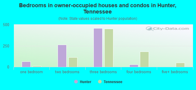 Bedrooms in owner-occupied houses and condos in Hunter, Tennessee