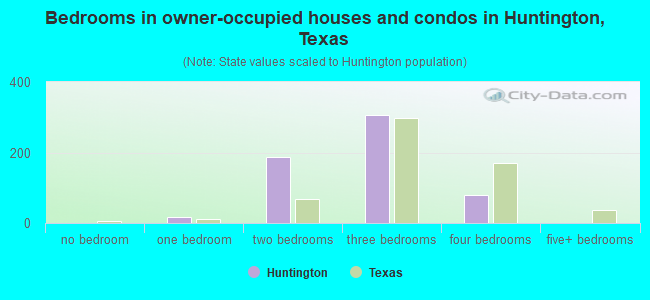 Bedrooms in owner-occupied houses and condos in Huntington, Texas