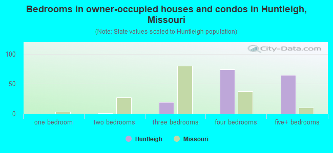 Bedrooms in owner-occupied houses and condos in Huntleigh, Missouri