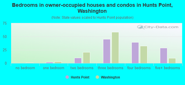 Bedrooms in owner-occupied houses and condos in Hunts Point, Washington