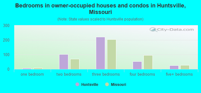 Bedrooms in owner-occupied houses and condos in Huntsville, Missouri