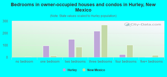 Bedrooms in owner-occupied houses and condos in Hurley, New Mexico