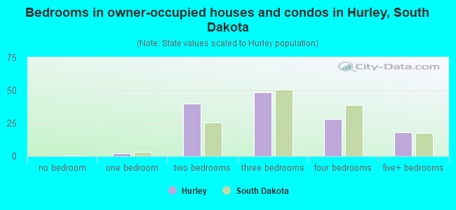 Bedrooms in owner-occupied houses and condos in Hurley, South Dakota