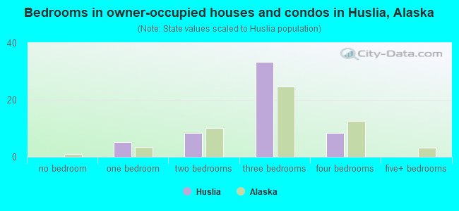 Bedrooms in owner-occupied houses and condos in Huslia, Alaska