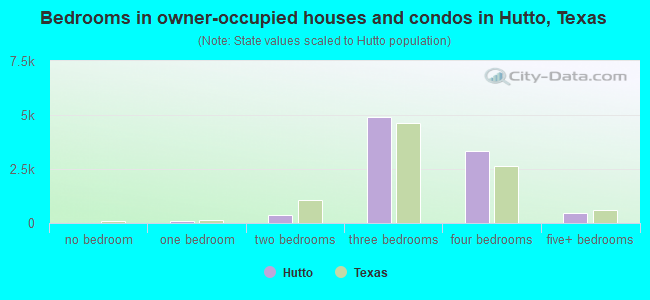 Bedrooms in owner-occupied houses and condos in Hutto, Texas