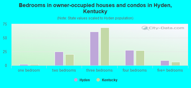 Bedrooms in owner-occupied houses and condos in Hyden, Kentucky