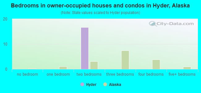 Bedrooms in owner-occupied houses and condos in Hyder, Alaska