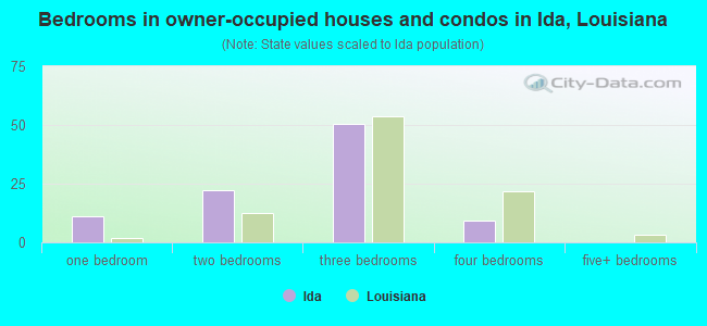 Bedrooms in owner-occupied houses and condos in Ida, Louisiana