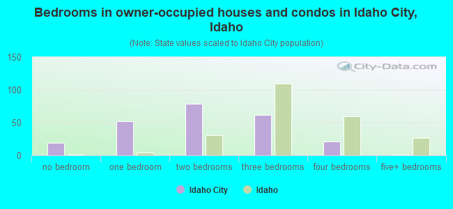 Bedrooms in owner-occupied houses and condos in Idaho City, Idaho