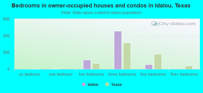 Bedrooms in owner-occupied houses and condos in Idalou, Texas