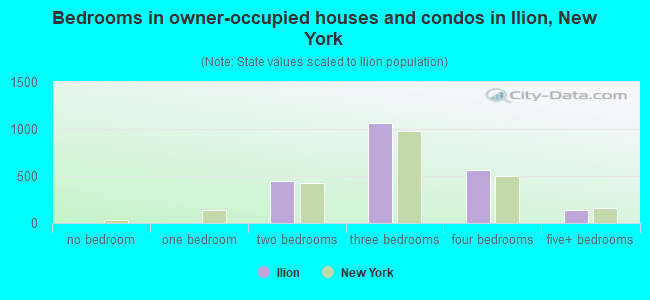 Bedrooms in owner-occupied houses and condos in Ilion, New York