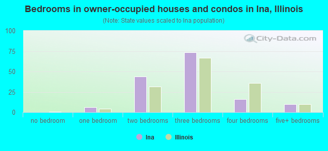 Bedrooms in owner-occupied houses and condos in Ina, Illinois