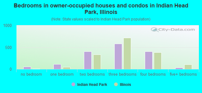Bedrooms in owner-occupied houses and condos in Indian Head Park, Illinois