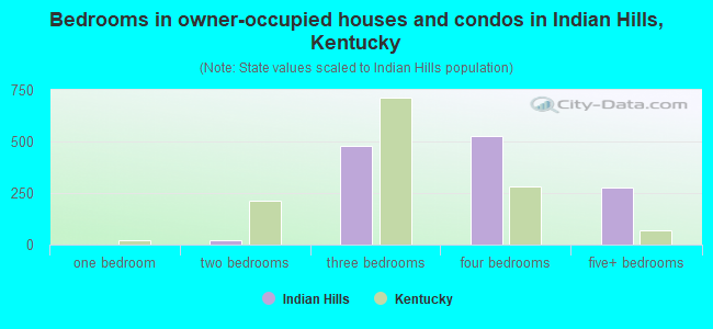 Bedrooms in owner-occupied houses and condos in Indian Hills, Kentucky