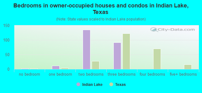 Bedrooms in owner-occupied houses and condos in Indian Lake, Texas
