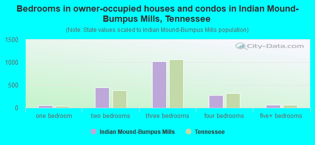 Bedrooms in owner-occupied houses and condos in Indian Mound-Bumpus Mills, Tennessee