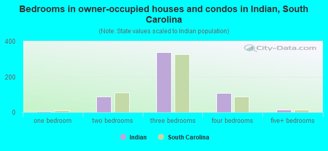 Bedrooms in owner-occupied houses and condos in Indian, South Carolina
