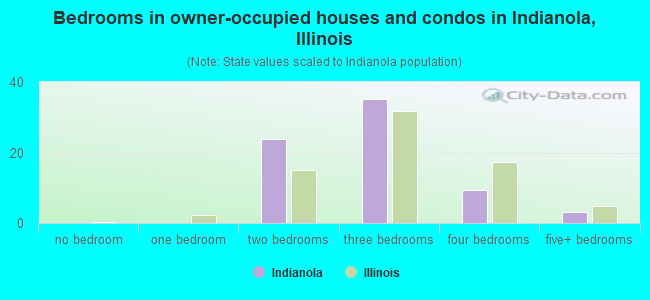 Bedrooms in owner-occupied houses and condos in Indianola, Illinois