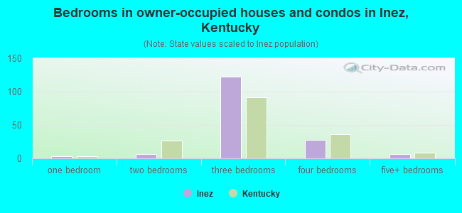 Bedrooms in owner-occupied houses and condos in Inez, Kentucky