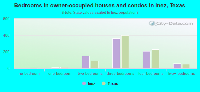 Bedrooms in owner-occupied houses and condos in Inez, Texas