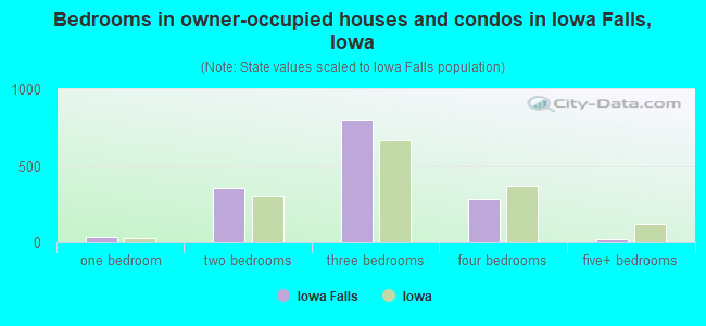 Bedrooms in owner-occupied houses and condos in Iowa Falls, Iowa