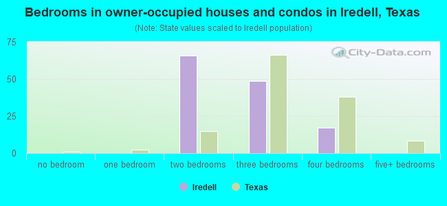 Bedrooms in owner-occupied houses and condos in Iredell, Texas