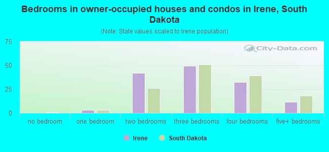 Bedrooms in owner-occupied houses and condos in Irene, South Dakota