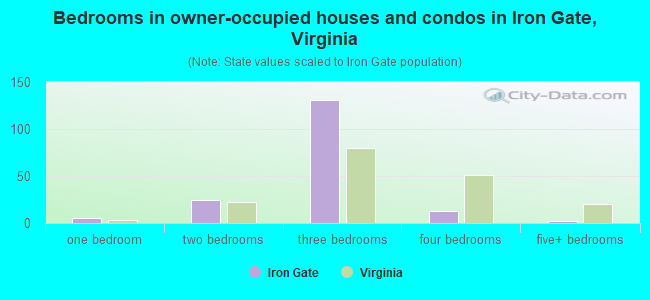 Bedrooms in owner-occupied houses and condos in Iron Gate, Virginia