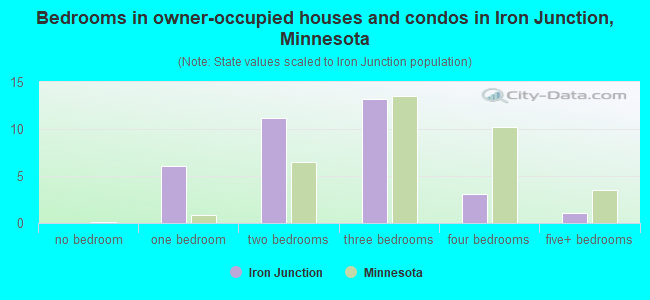 Bedrooms in owner-occupied houses and condos in Iron Junction, Minnesota