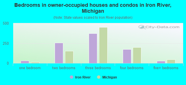 Bedrooms in owner-occupied houses and condos in Iron River, Michigan